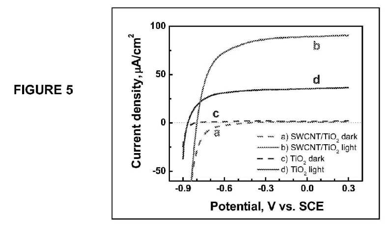 fig5.jpg