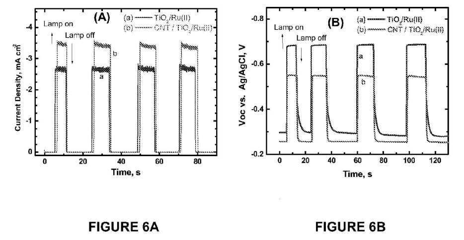 fig6ab.jpg