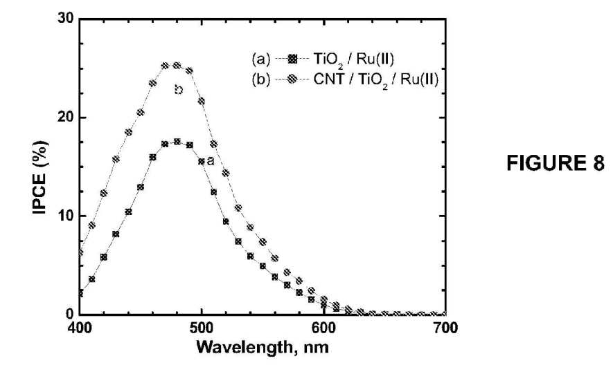 fig8.jpg