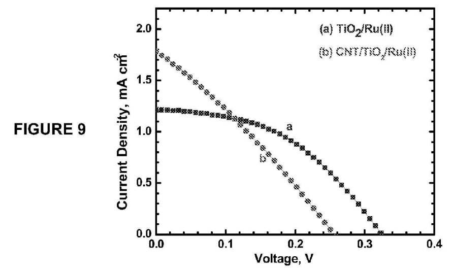 fig9.jpg