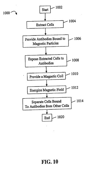 fig10.jpg