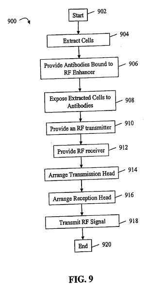 fig9.jpg