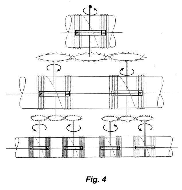 fig4.jpg