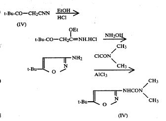 us41b.JPG