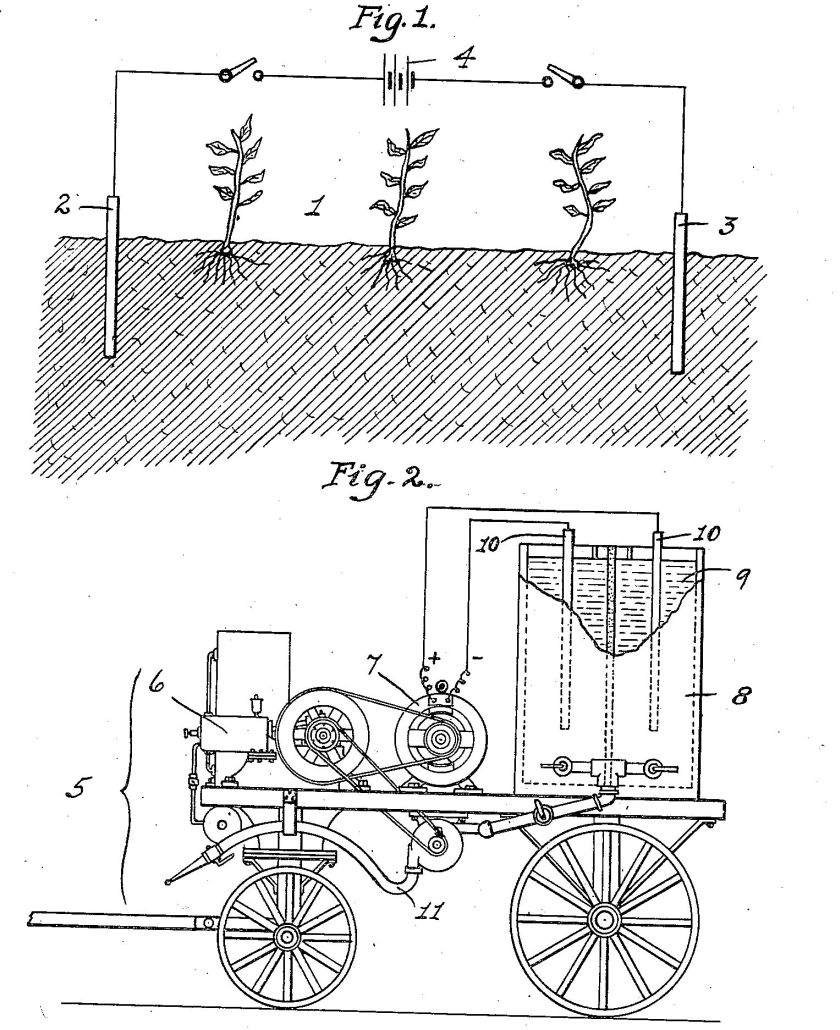 fig.jpg