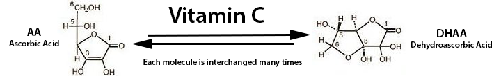 AA.png