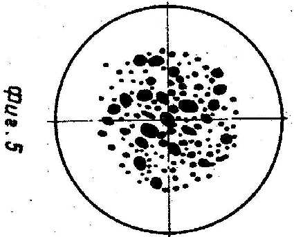 fig5.jpg