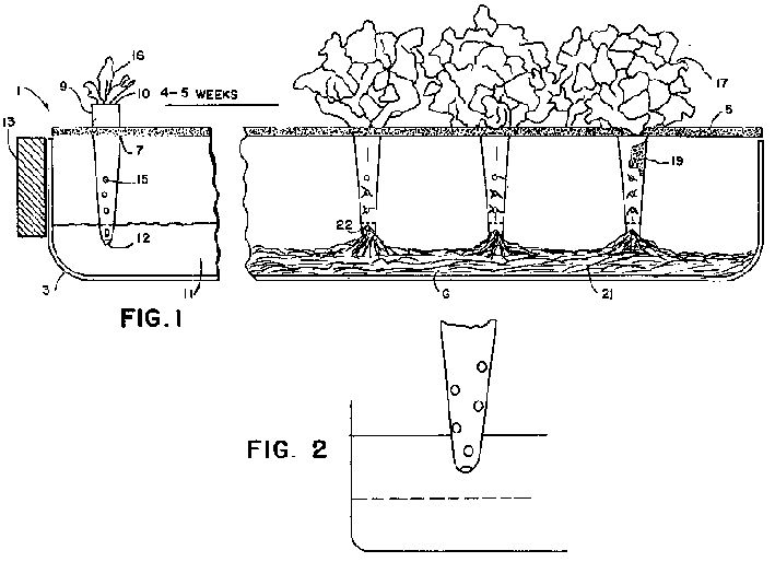 fig1.jpg