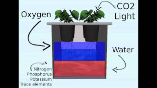 kratkysystem2.jpg