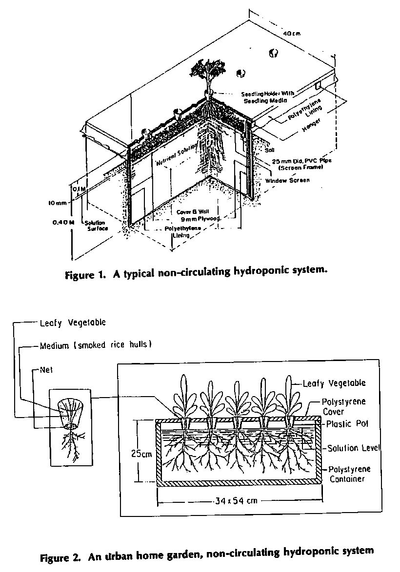 pdf.jpg