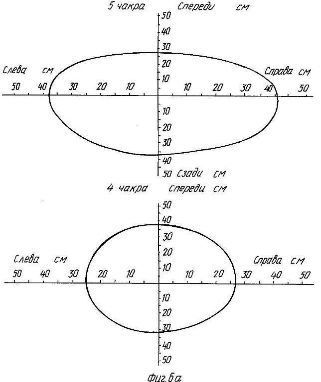 ru2118124e.jpg