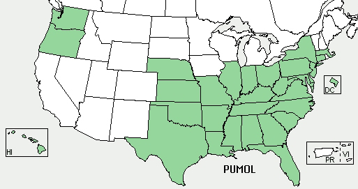 USDAkudzumap.jpg