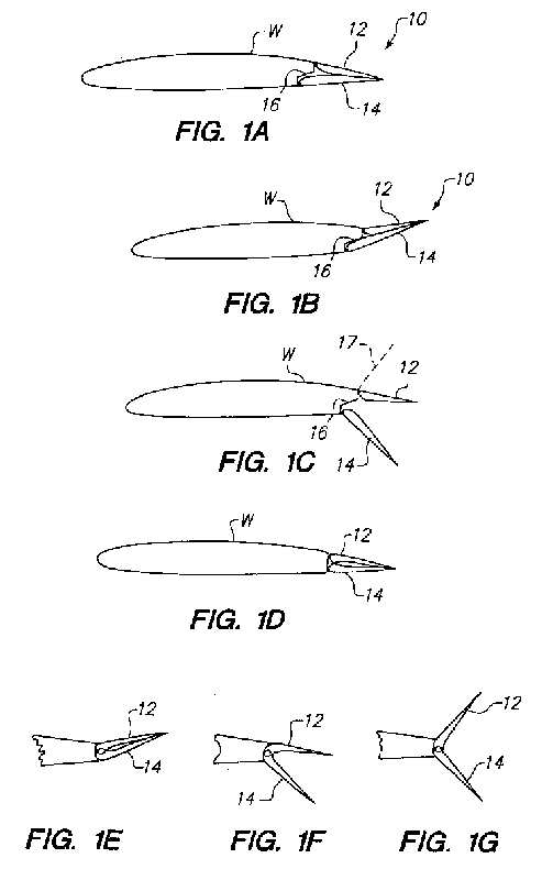 fig1.jpg