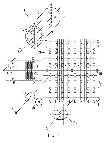 fig1.jpg