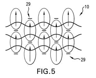 1fig5.jpg