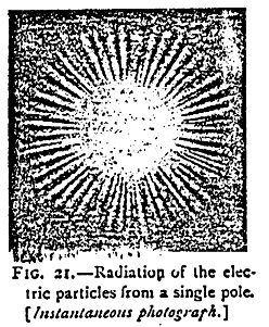 fig21.jpg