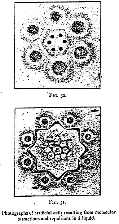 fig30-31.jpg