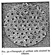 fig32.jpg
