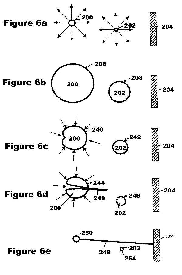 7297288-6.jpg