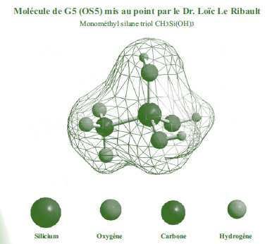 g5.jpg