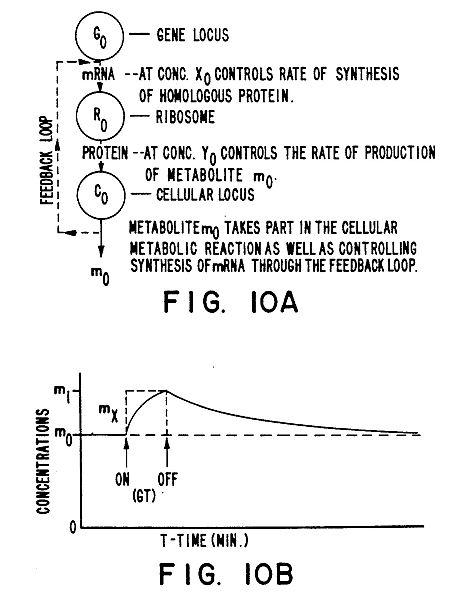 us5288-10.jpg