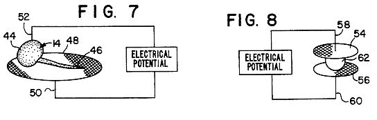 us5288b.jpg