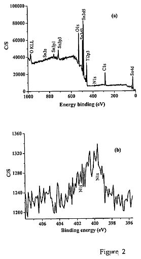 fig2.jpg