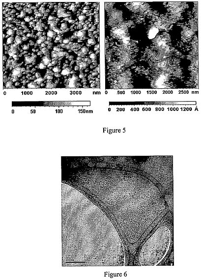 fig56.jpg
