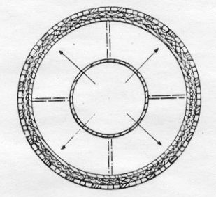 1fig4.jpg