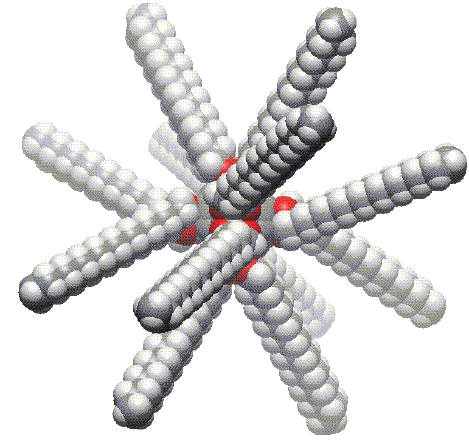 lipofulelrene.gif