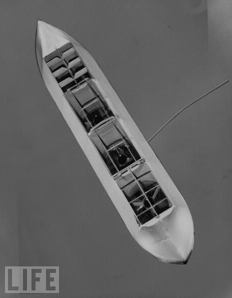 50669449.jpg