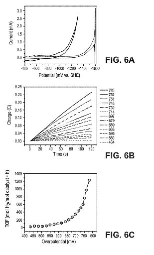 fig6.jpg