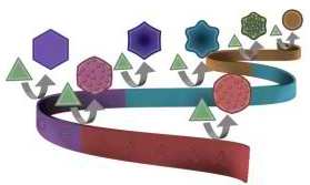 dna-gold-geom.jpg