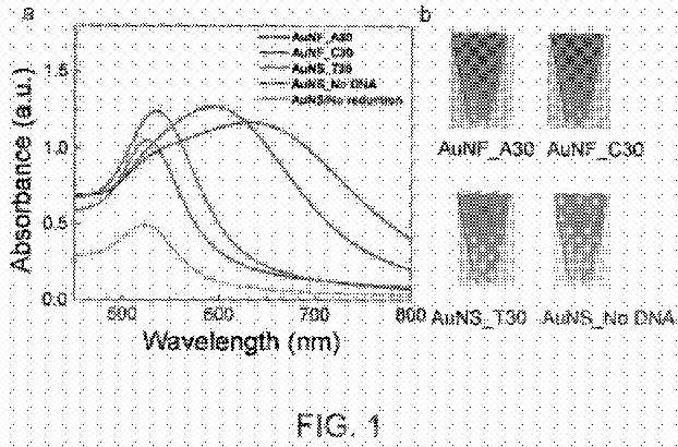 fig1.jpg