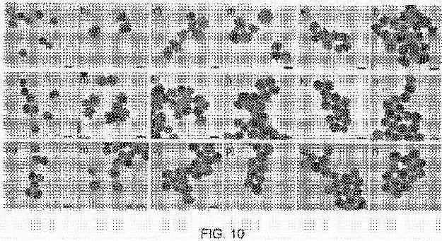 fig10.jpg