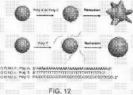 fig12.jpg