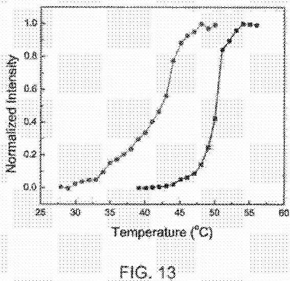 fig13.jpg