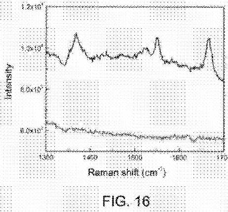 fig16.jpg