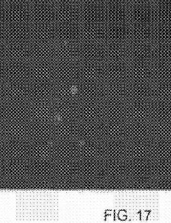 fig17.jpg