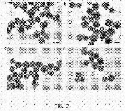 fig2.jpg