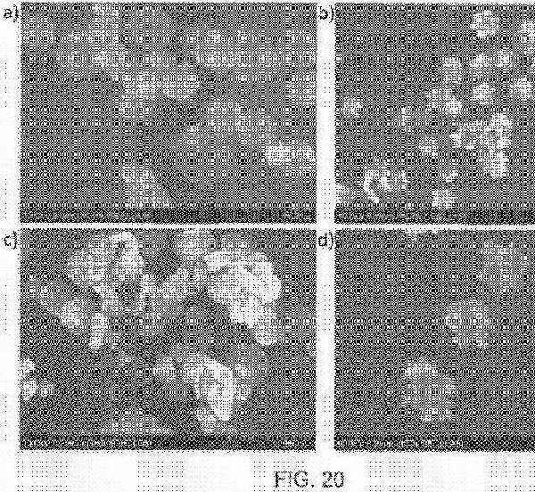 fig20.jpg