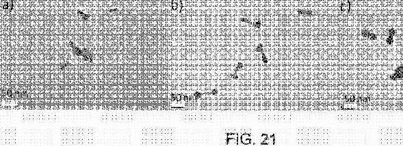 fig21.jpg