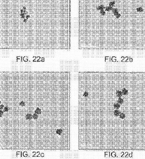fig22.jpg