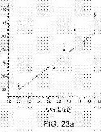fig23.jpg