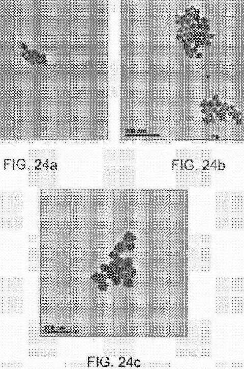 fig24.jpg
