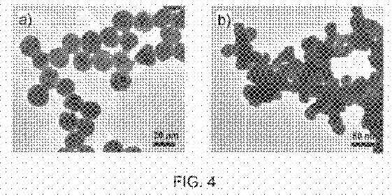fig4.jpg