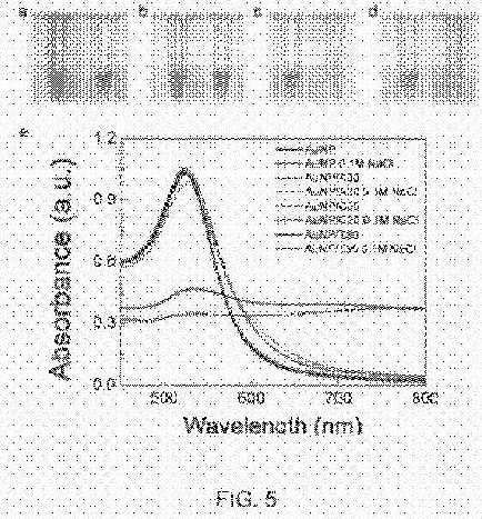 fig5.jpg