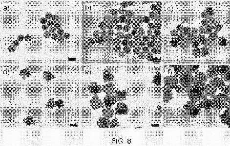 fig6.jpg