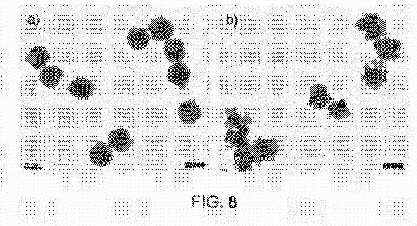 fig8.jpg