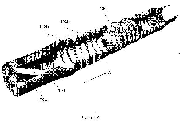 fig1.jpg
